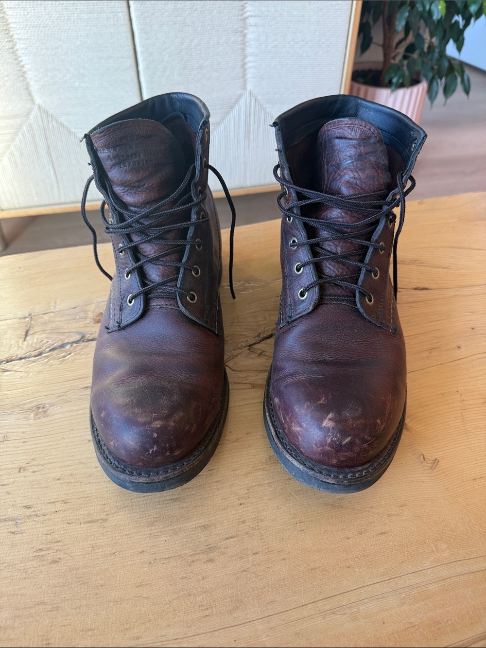 FRYE AND CO. Dark Brown Leather Lace-Up Men's Boots